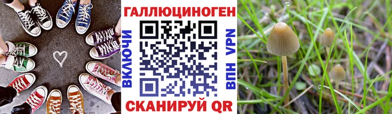 Псилоцибиновые грибы мухоморы  купить наркотик  Карабаш 